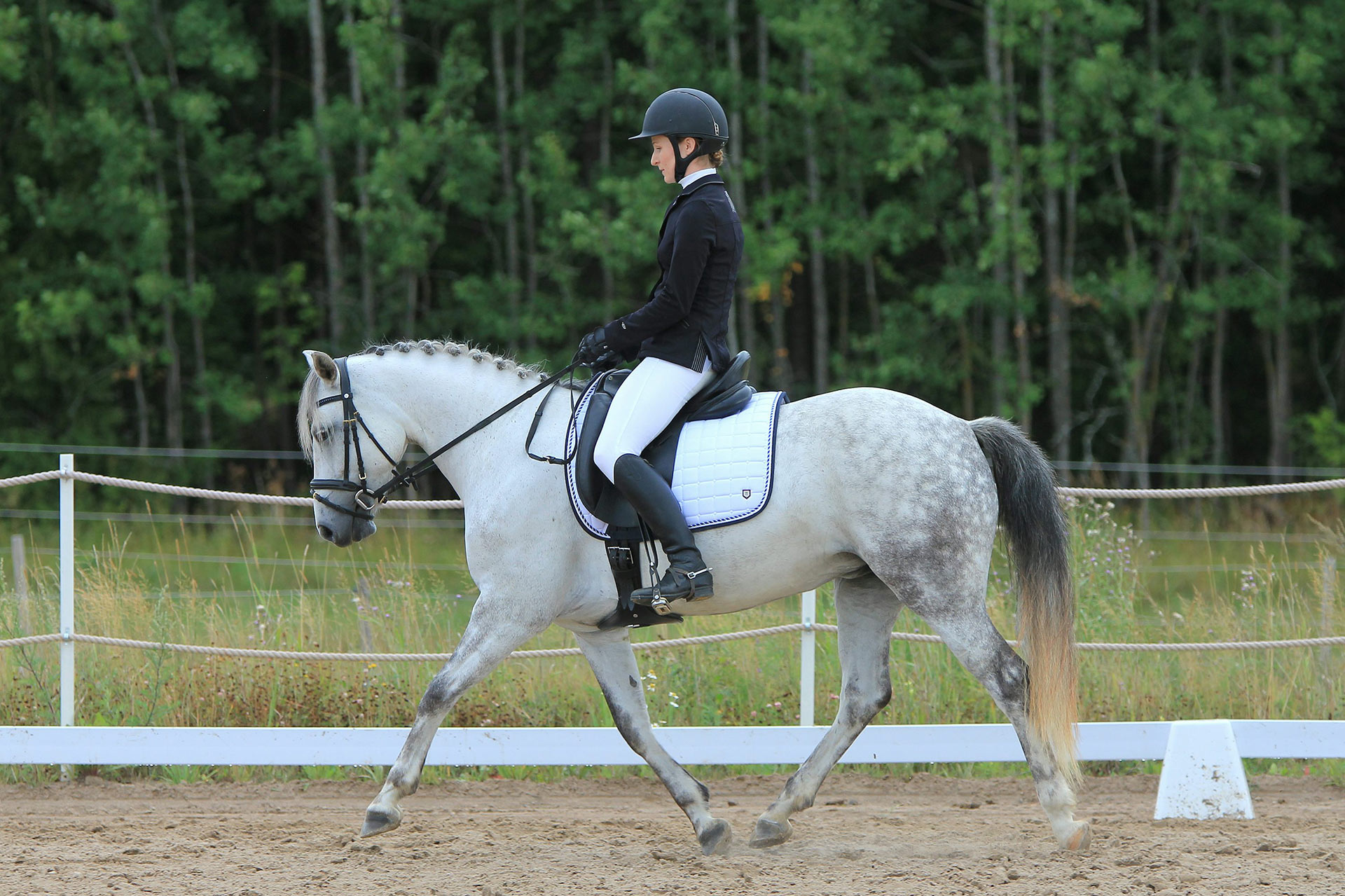 Ausschreibung Centered Riding® Update-Kurs Open Clinik