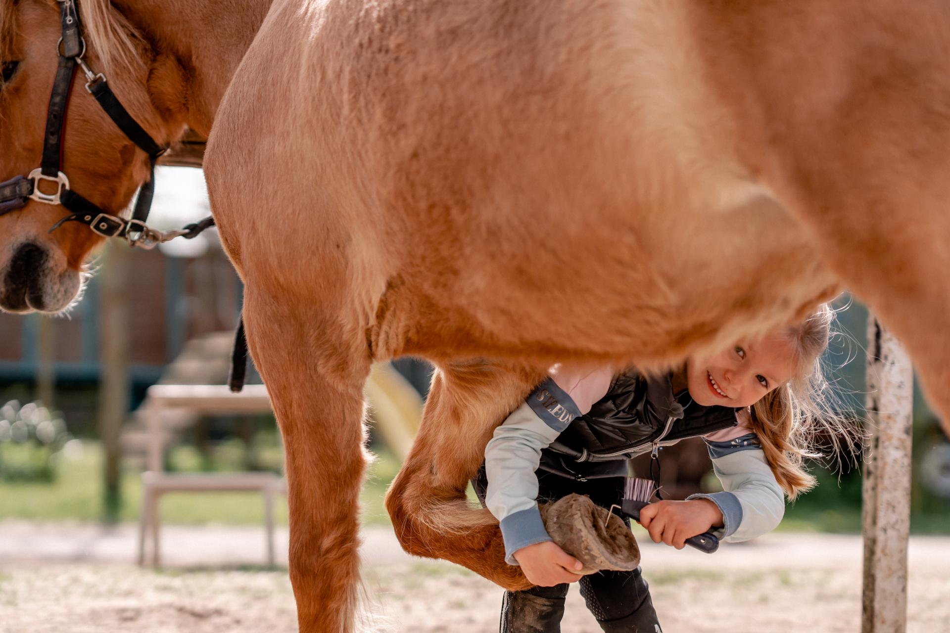 6. Kinderwochenende (3 Tage)