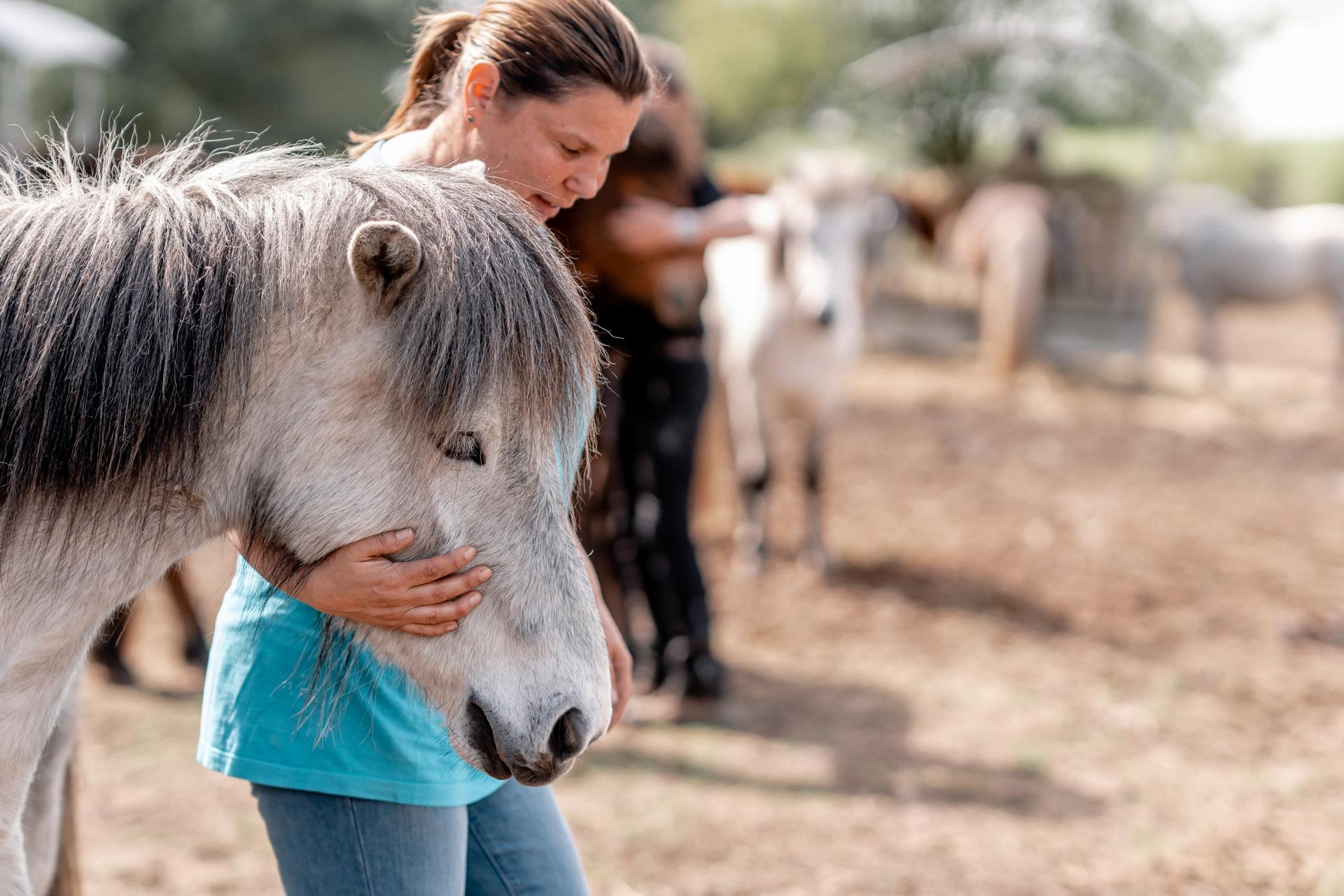 Gesunderhaltende und nachhaltige Ausbildung für Pferd und Reiter – mit Juliane Knoop (Tierärztin / Chirupraktikerin)