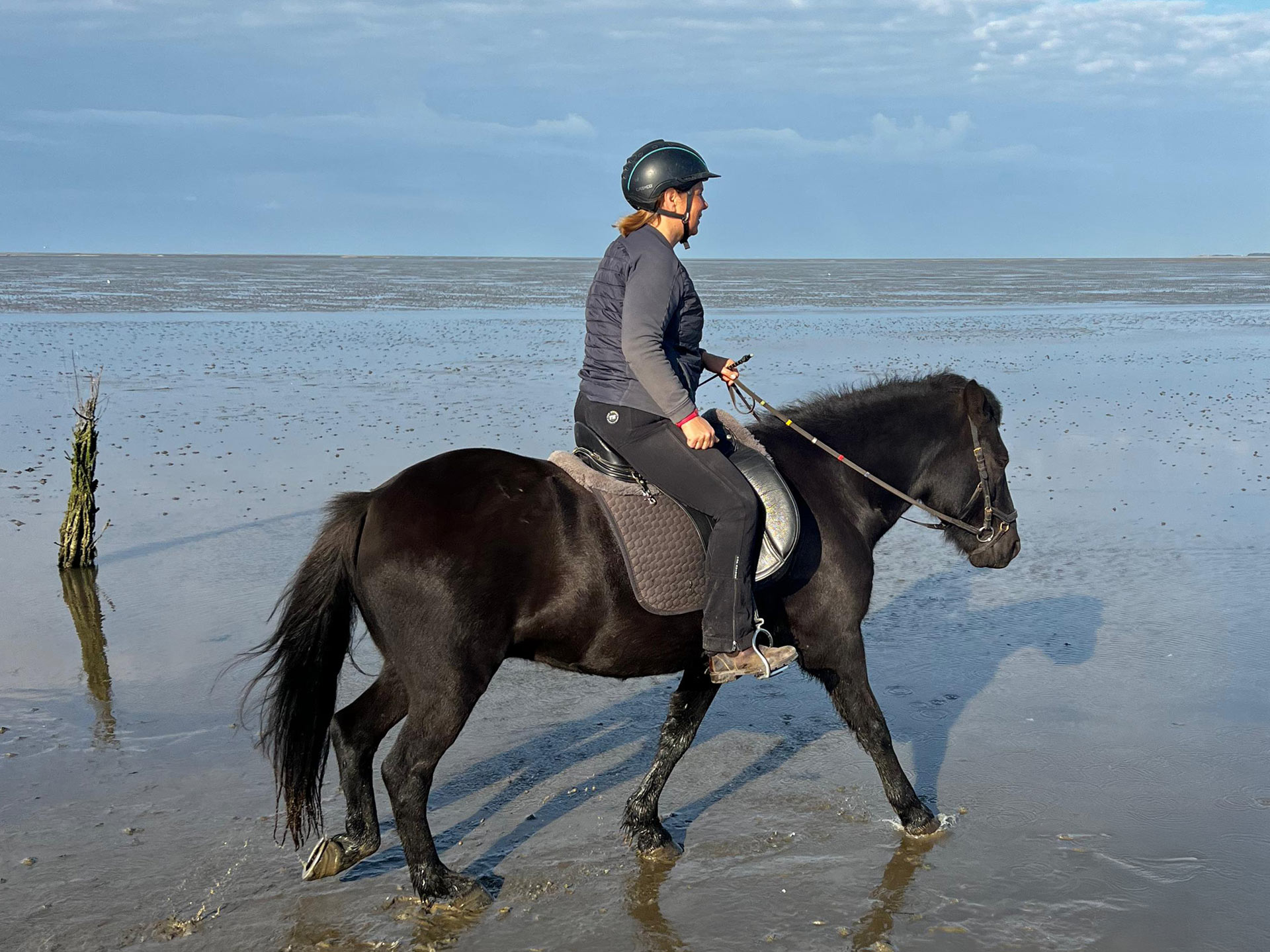 Ausschreibung Centered Riding® Update-Kurs