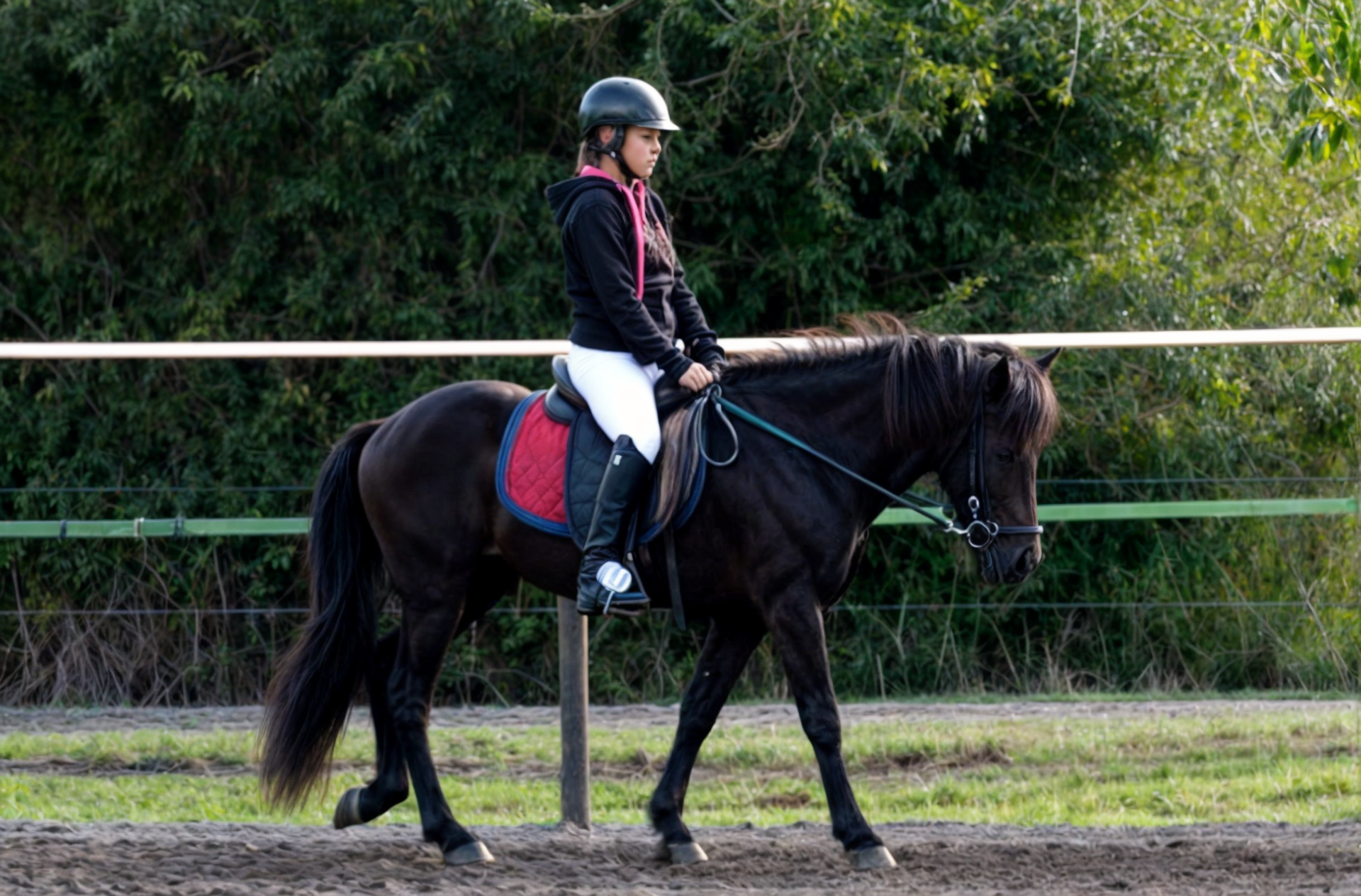Working Equitation Kurs mit Stephan Vierhaus - Speziell für Islandpferde