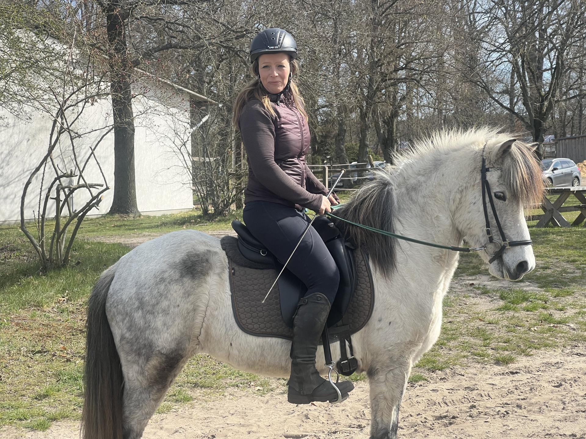 Kurs Working Equitation (auch für Gangpferde) mit Stephan Vierhaus